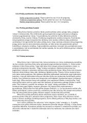 Verslo planas: TŪB "Programinių paketų platinimas" 5 puslapis