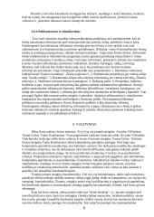 Verslo planas: TŪB "Programinių paketų platinimas" 6 puslapis