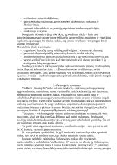 Verslo planas: viešbutis IĮ "Saulėlydis" 2 puslapis