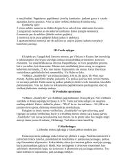 Verslo planas: viešbutis IĮ "Saulėlydis" 3 puslapis