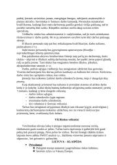 Verslo planas: viešbutis IĮ "Saulėlydis" 8 puslapis