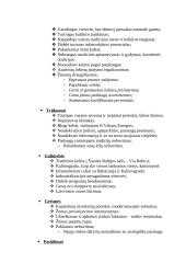 Verslo planas: viešbutis IĮ "Saulėlydis" 9 puslapis