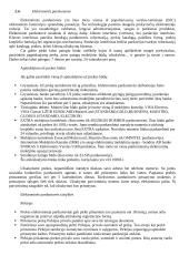 Verslo plėtra interneto pagalba 5 puslapis