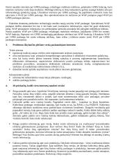 Verslo plėtra interneto pagalba 7 puslapis