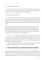 Verslo steigimą Europos Sąjungoje (ES) reglamentuojantys aktai ir dokumentai 11 puslapis