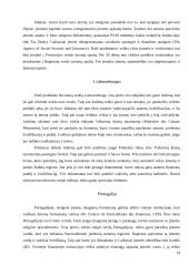 Verslo steigimą Europos Sąjungoje (ES) reglamentuojantys aktai ir dokumentai 14 puslapis