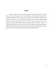 Verslo steigimą Europos Sąjungoje (ES) reglamentuojantys aktai ir dokumentai 16 puslapis