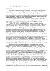 Verslo steigimą Europos Sąjungoje (ES) reglamentuojantys aktai ir dokumentai 17 puslapis