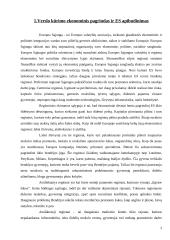 Verslo steigimą Europos Sąjungoje (ES) reglamentuojantys aktai ir dokumentai 3 puslapis