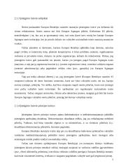 Verslo steigimą Europos Sąjungoje (ES) reglamentuojantys aktai ir dokumentai 5 puslapis