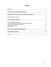 Lietuvos vertybinių popierių rinka, jos analizė 15 puslapis