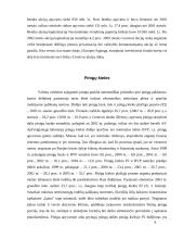 Lietuvos vertybinių popierių rinka, jos analizė 9 puslapis