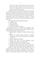 Vidaus audito organizavimas Lietuvos savivaldybėse 13 puslapis
