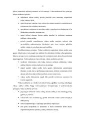 Vidaus audito organizavimas Lietuvos savivaldybėse 14 puslapis