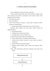 Vidaus audito organizavimas Lietuvos savivaldybėse 17 puslapis