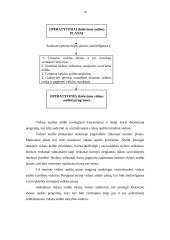 Vidaus audito organizavimas Lietuvos savivaldybėse 18 puslapis