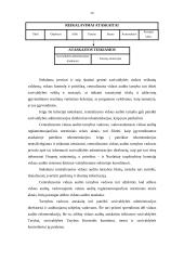 Vidaus audito organizavimas Lietuvos savivaldybėse 20 puslapis