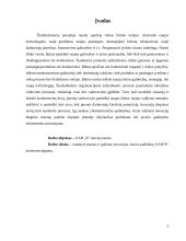 Įmonės „X“ veiklos analizė 3 puslapis