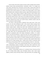 Įmonės „X“ veiklos analizė 10 puslapis