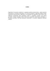 Vyriausybės vaidmuo rinkos ekonomikoje 2 puslapis