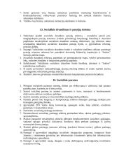 Vyriausybės vaidmuo rinkos ekonomikoje 14 puslapis