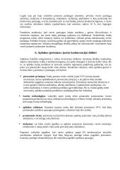 Vyriausybės vaidmuo rinkos ekonomikoje 5 puslapis