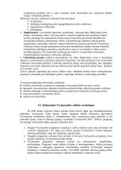 Vyriausybės vaidmuo rinkos ekonomikoje 10 puslapis