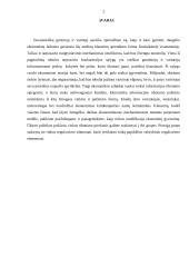 Vyriausybės vaidmuo ir funkcijos rinkos ekonomikoje 2 puslapis