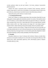 Vyriausybės vaidmuo ir funkcijos rinkos ekonomikoje 11 puslapis