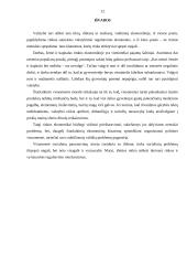 Vyriausybės vaidmuo ir funkcijos rinkos ekonomikoje 12 puslapis