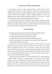 Vyriausybės vaidmuo ir funkcijos rinkos ekonomikoje 3 puslapis