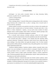 Vyriausybės vaidmuo ir funkcijos rinkos ekonomikoje 6 puslapis