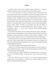 Vyriausybės vaidmuo ir funkcijos rinkos ekonomikoje 7 puslapis