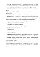 Vyriausybės vaidmuo ir funkcijos rinkos ekonomikoje 8 puslapis