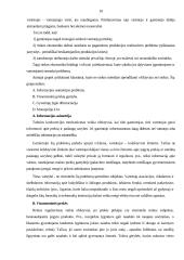 Vyriausybės vaidmuo ir funkcijos rinkos ekonomikoje 10 puslapis