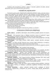 Viršutinės kelio konstrukcijos priežiūros vadyba ir kontrolė 3 puslapis