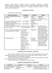 Viršutinės kelio konstrukcijos priežiūros vadyba ir kontrolė 6 puslapis