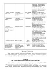 Viršutinės kelio konstrukcijos priežiūros vadyba ir kontrolė 7 puslapis