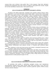 Viršutinės kelio konstrukcijos priežiūros vadyba ir kontrolė 8 puslapis