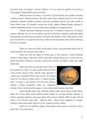 Visata ir astronomijos mokslas 12 puslapis