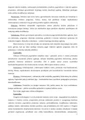 Vizijos reikšmė siekiant mokyklos kaitos, tobulinimo bei veiklos kokybės 11 puslapis