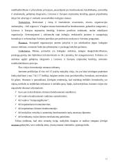 Vizijos reikšmė siekiant mokyklos kaitos, tobulinimo bei veiklos kokybės 12 puslapis