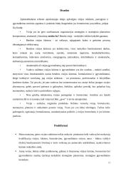 Vizijos reikšmė siekiant mokyklos kaitos, tobulinimo bei veiklos kokybės 13 puslapis