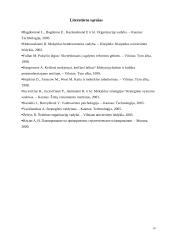 Vizijos reikšmė siekiant mokyklos kaitos, tobulinimo bei veiklos kokybės 14 puslapis