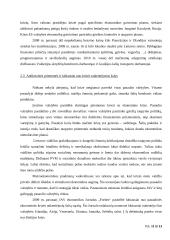 XXI amžiaus finansų krizė: priežastys ir poveikis pasaulio ekonomikai 11 puslapis