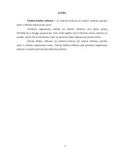 Žmonių išteklių valdymas organizacijoje 2 puslapis