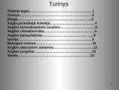 Anglis ir jos junginiai 2 puslapis