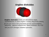 Anglis ir jos junginiai 16 puslapis