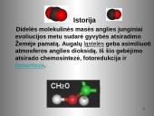 Anglis ir jos junginiai 8 puslapis