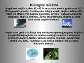 Anglis ir jos junginiai 9 puslapis